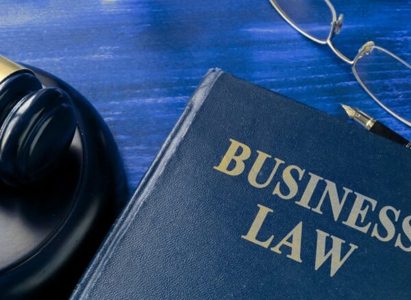 business lawyer Regina reviewing corporate documents with a client
