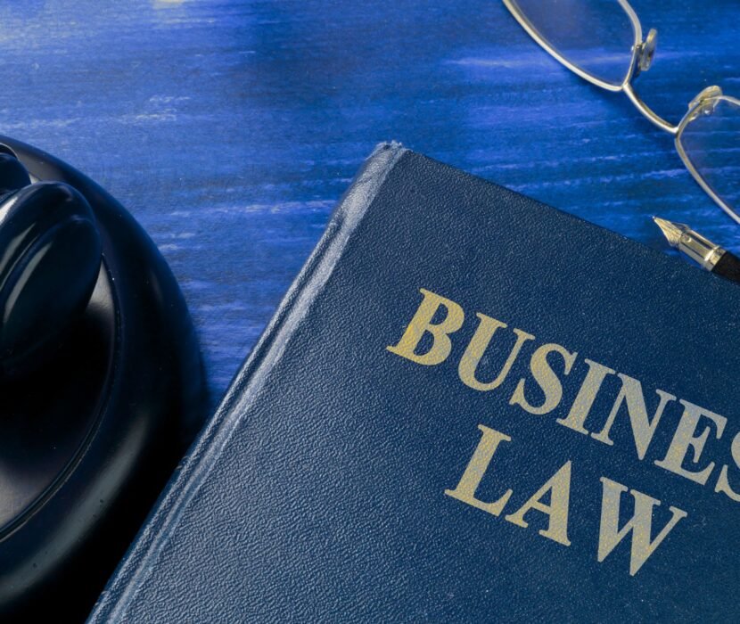 business lawyer Regina reviewing corporate documents with a client