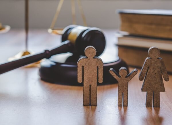 family lawyer Regina reviewing separation and divorce documents