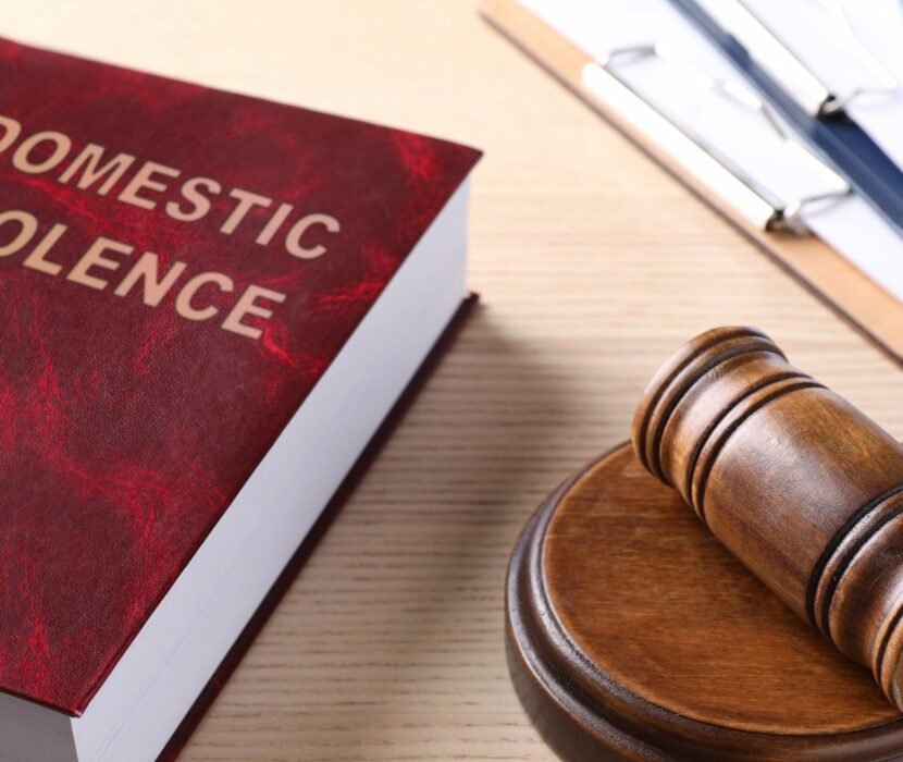 domestic assault lawyer Regina reviewing criminal defence documents