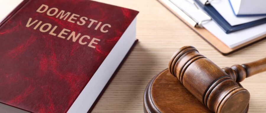 Blue (5) domestic assault lawyer Regina reviewing criminal defence documents