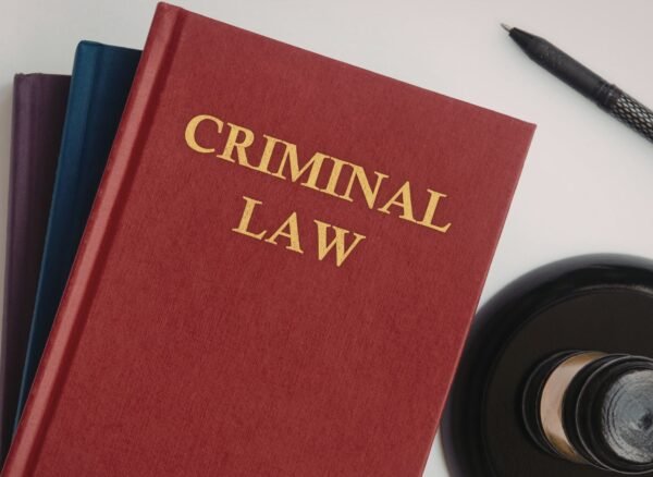 criminal lawyer Regina reviewing court documents with a client