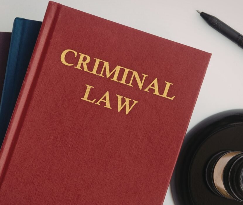 criminal lawyer Regina reviewing court documents with a client