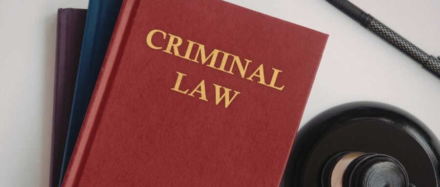 criminal lawyer Regina reviewing court documents with a client