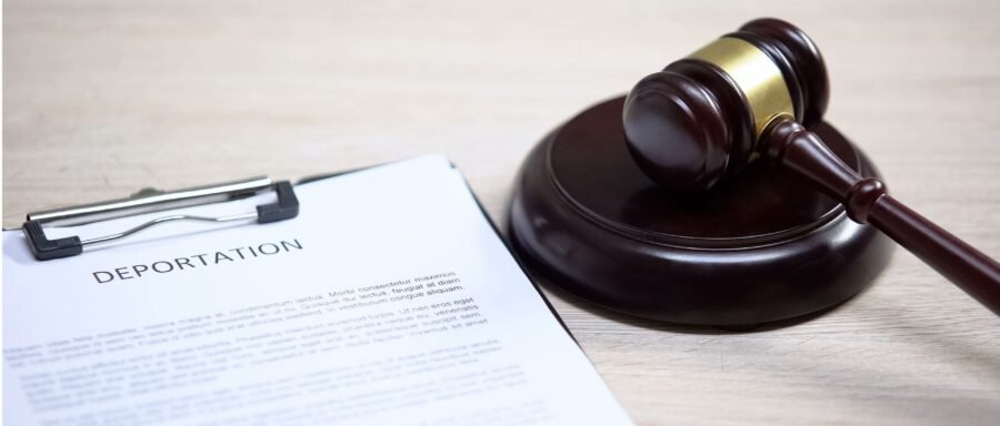 deportation deportation lawyer Regina reviewing removal order documents