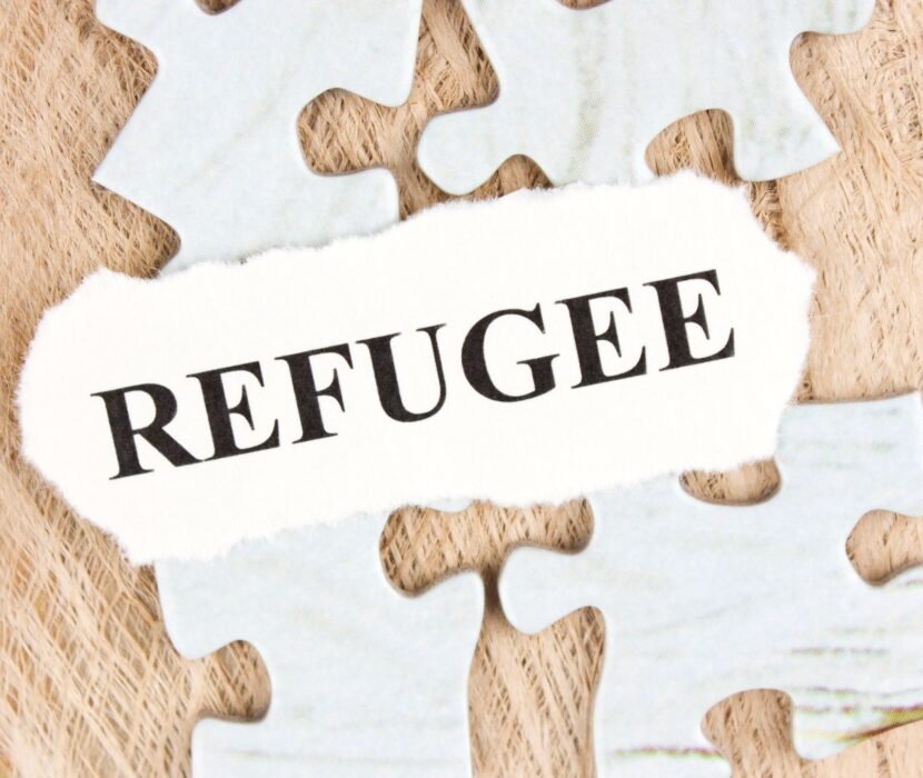 refugee lawyer Regina reviewing Basis of Claim documents